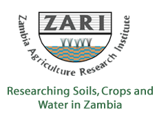ZARI